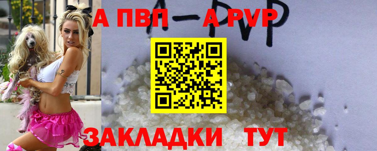 A PVP СК Кингисепп