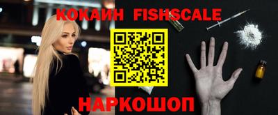 бошки Кингисепп