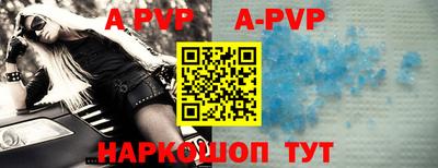 бошки Кингисепп