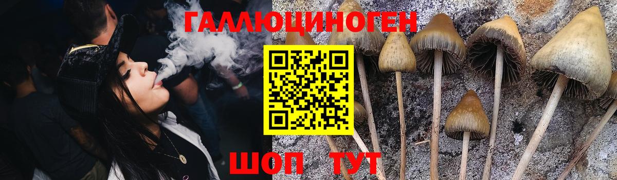Псилоцибиновые грибы Magic Shrooms Кингисепп