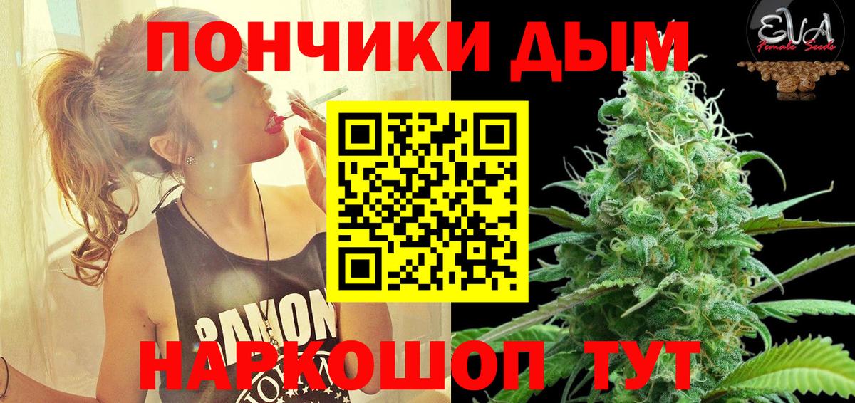 Кингисепп  Бошки Шишки планчик  Канабис план  Вход с VPN 